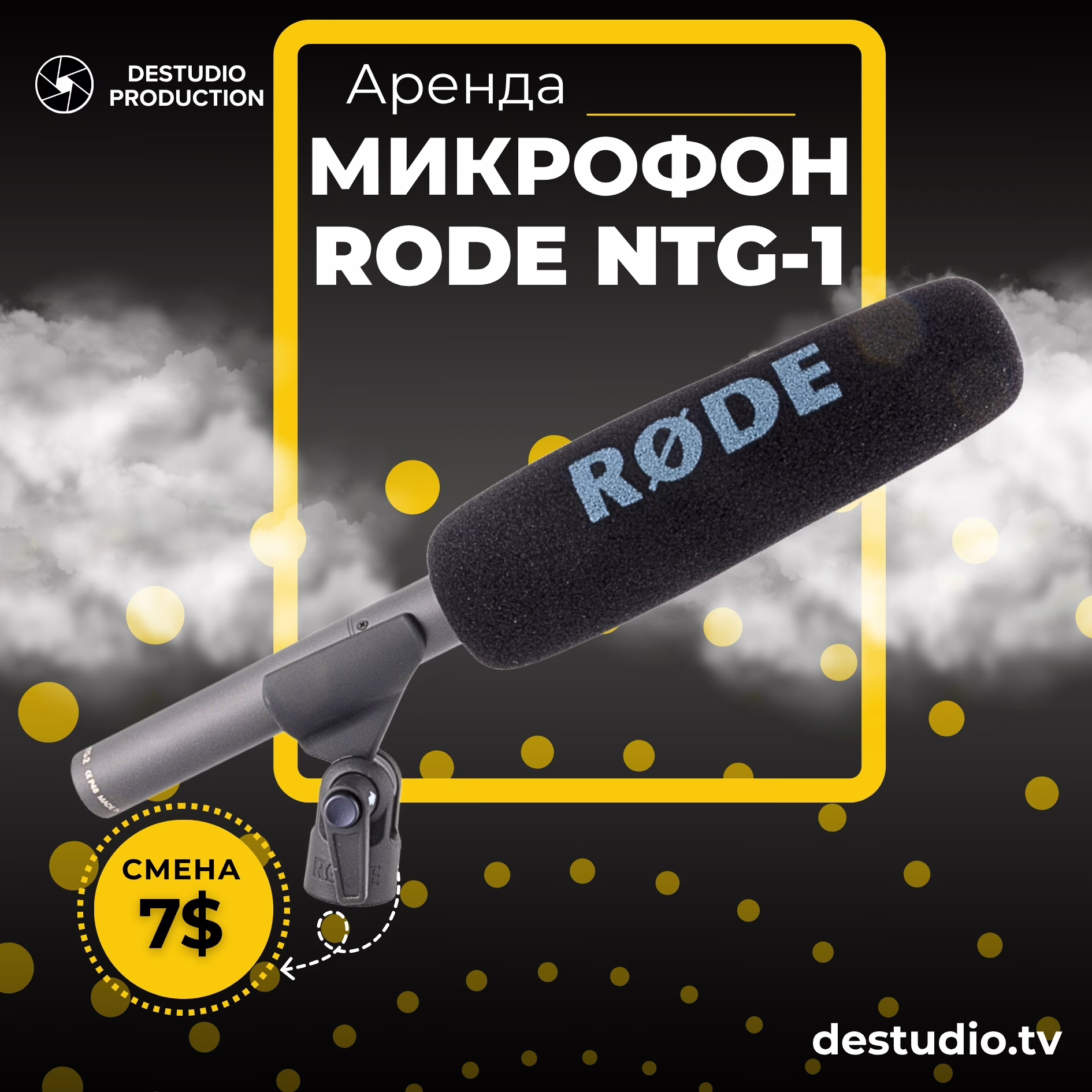 Аренда DEStudio, Rode NTG-1
